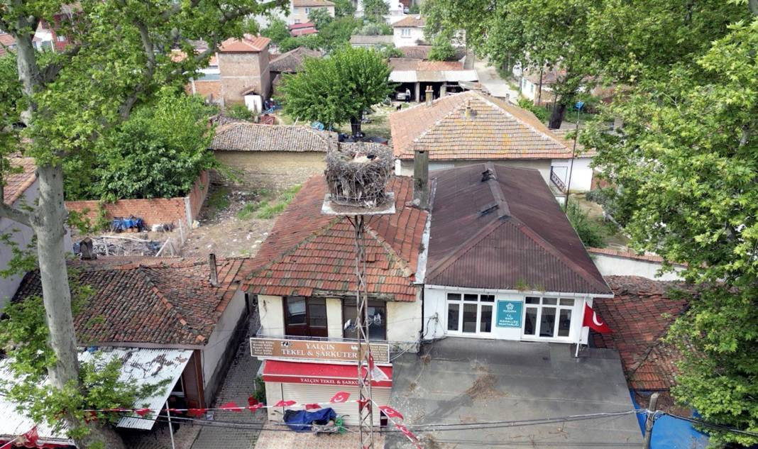 Tekirdağ'ın maskotu 'Gelendost' kamera ile izlenecek - Resim: 3